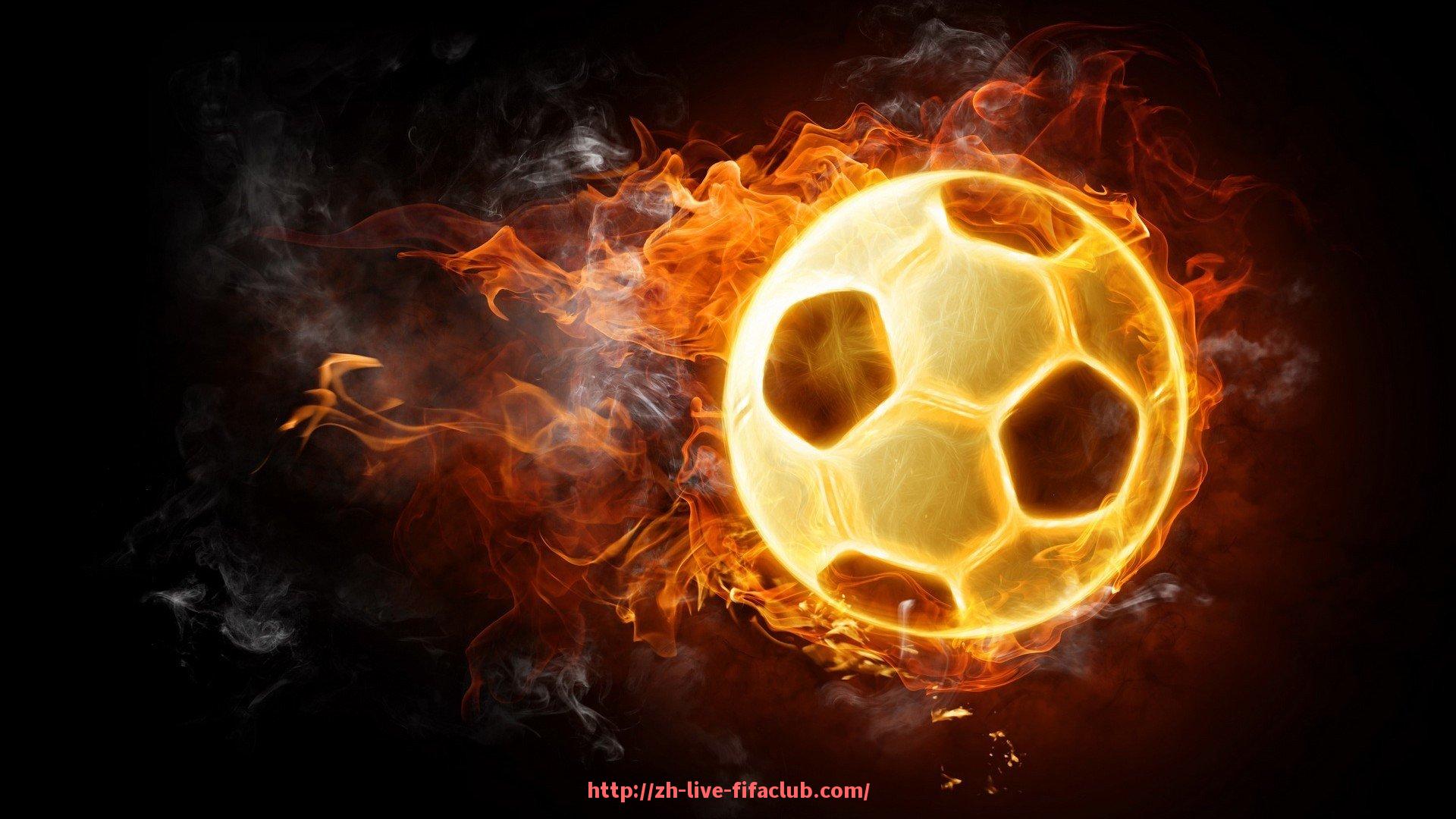 世俱杯直播-世俱杯球迷现场入场全流程攻略与注意事项汇总